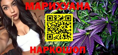 индика Усть-Джегута