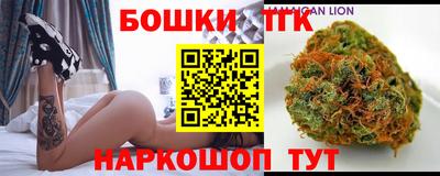 индика Усть-Джегута