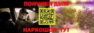 индика Усть-Джегута