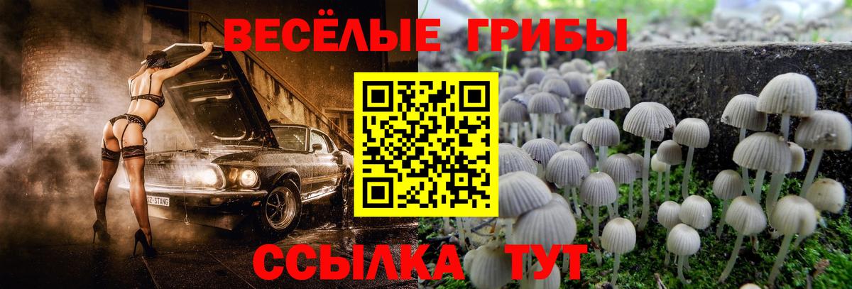 Ачинск  наркотики  Галлюциногенные грибы GOLDEN TEACHER  Вход с VPN  Псилоцибиновые грибы ЛСД 